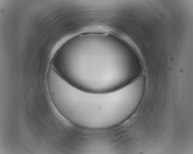 X0000062831344200601130904