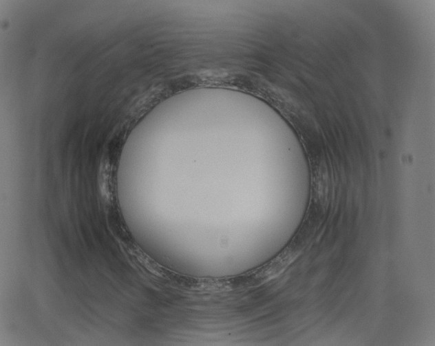 X0000062831346200601130904