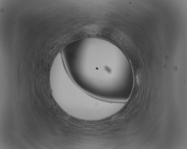 X0000062831347200601130904