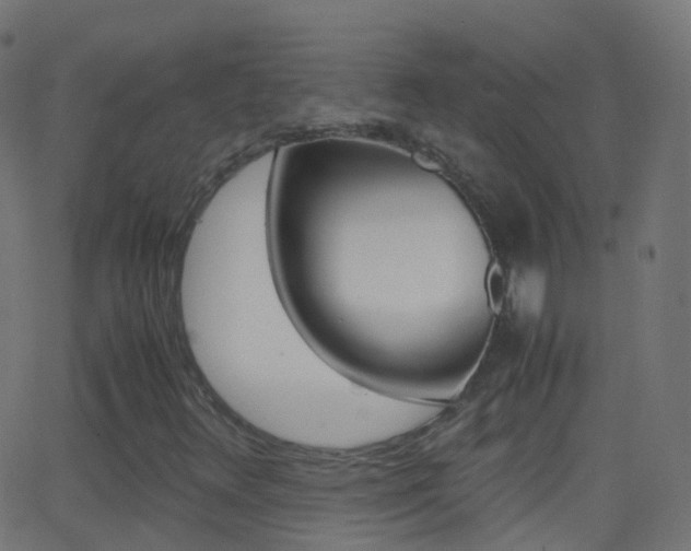 X0000062831348200601130904