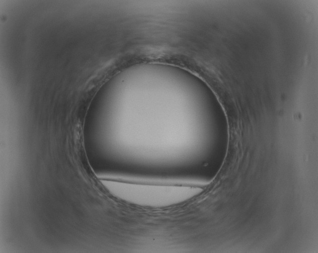 X0000062831349200601130903