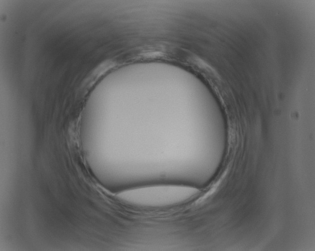 X0000062831353200601130903