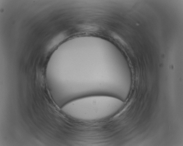 X0000062831354200601130903
