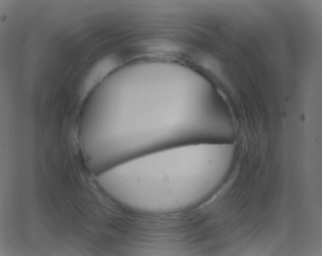 X0000062831362200601130903