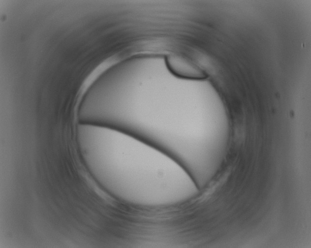 X0000062831370200601130903