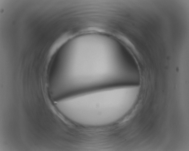 X0000062831373200601130903