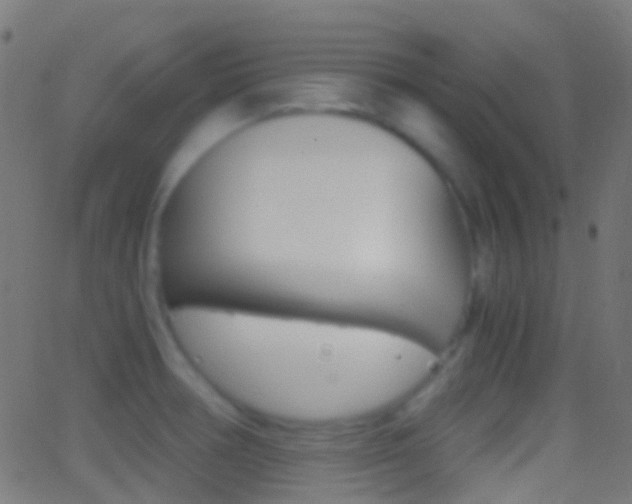 X0000062831378200601130903
