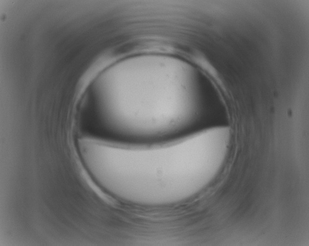 X0000062831379200601130903