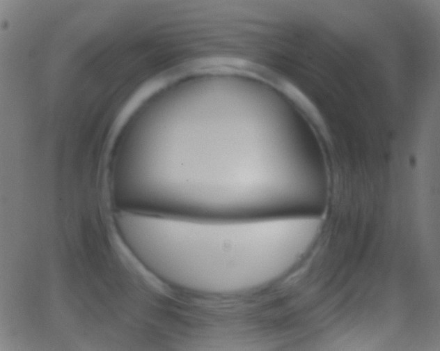 X0000062831384200601130903