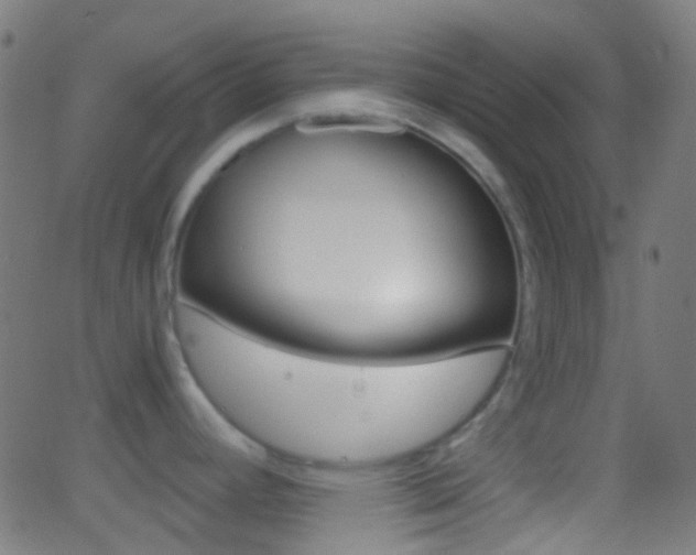 X0000062831392200601130903