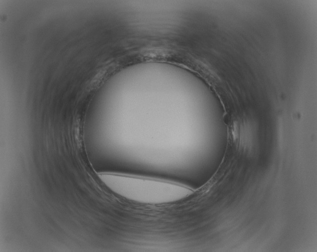 X0000062831396200601130902
