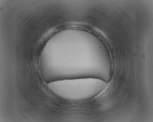 X0000062831403200601130902