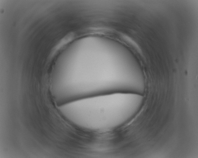 X0000062831411200601130902