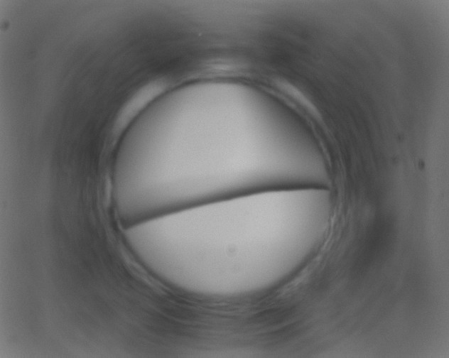 X0000062831413200601130902