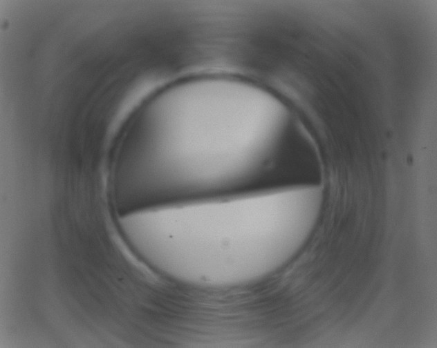 X0000062831416200601130902