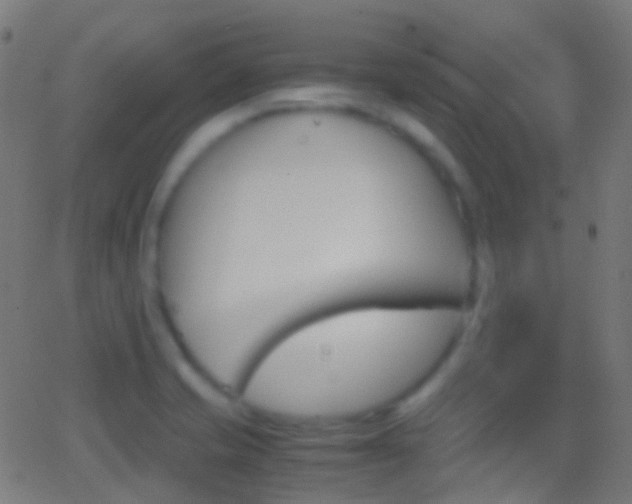 X0000062831421200601130902