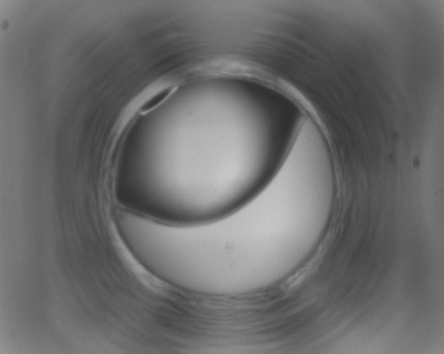 X0000062831434200601130903