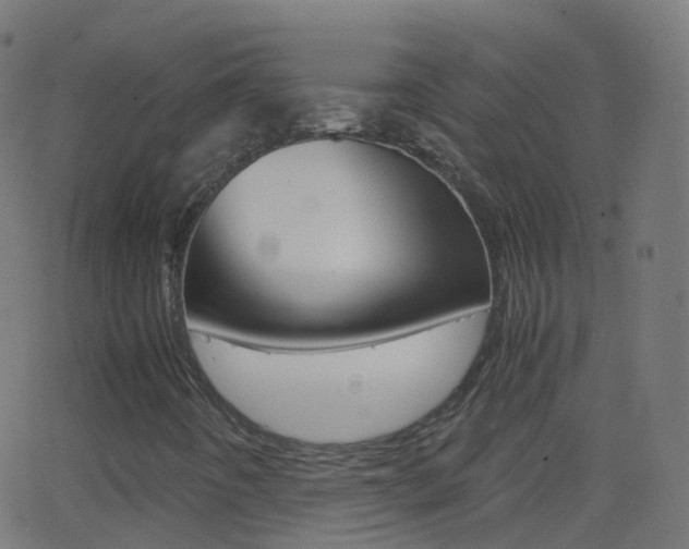 X0000062831442200601130902