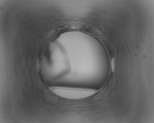 X0000062831443200601130902