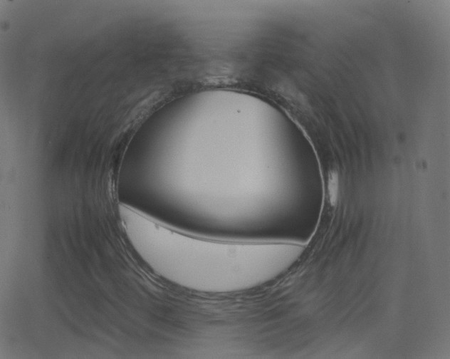 X0000062831444200601130902