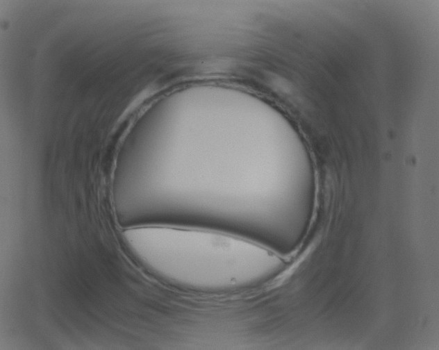 X0000062831449200601130902