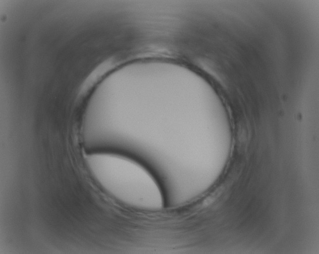 X0000062831455200601130902