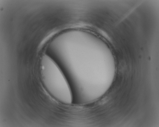 X0000062831456200601130902