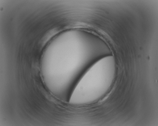 X0000062831457200601130902
