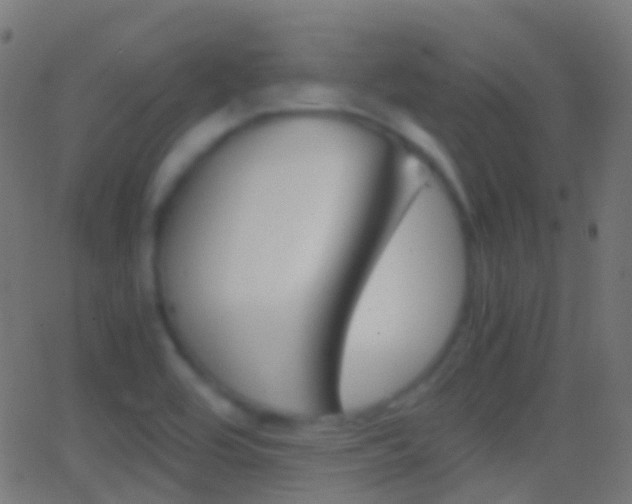 X0000062831464200601130902