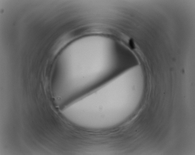 X0000062831465200601130902