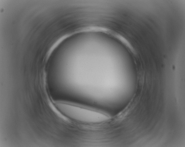 X0000062831476200601130901