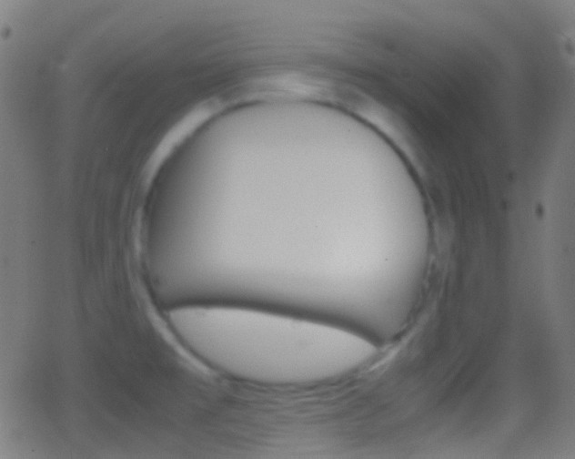 X0000062831477200601130901