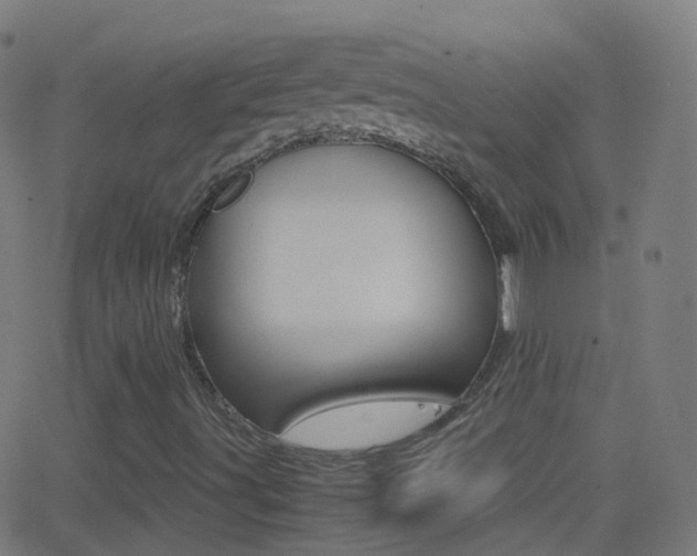 X0000062831491200601130900
