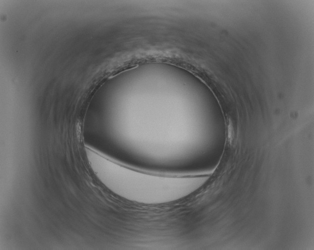 X0000062831492200601130900