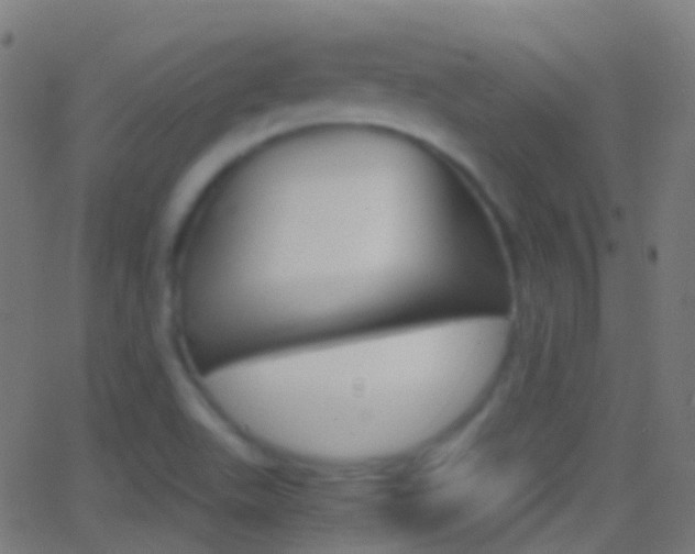 X0000062831511200601130901