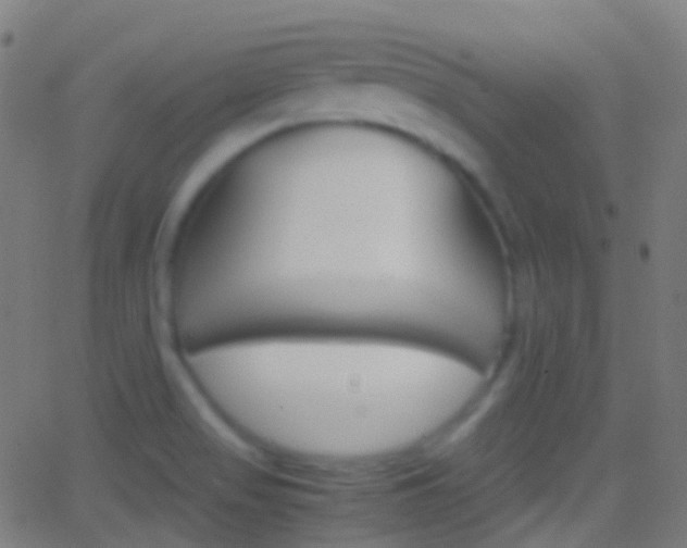 X0000062831517200601130901