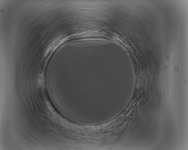 X0000062830002200601131310