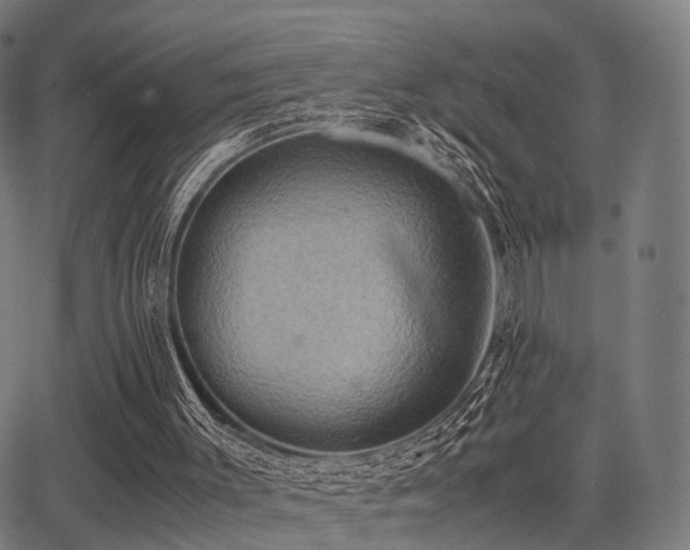 X0000062830003200601131310