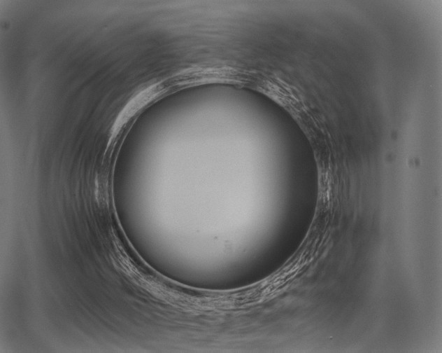 X0000062830004200601131310