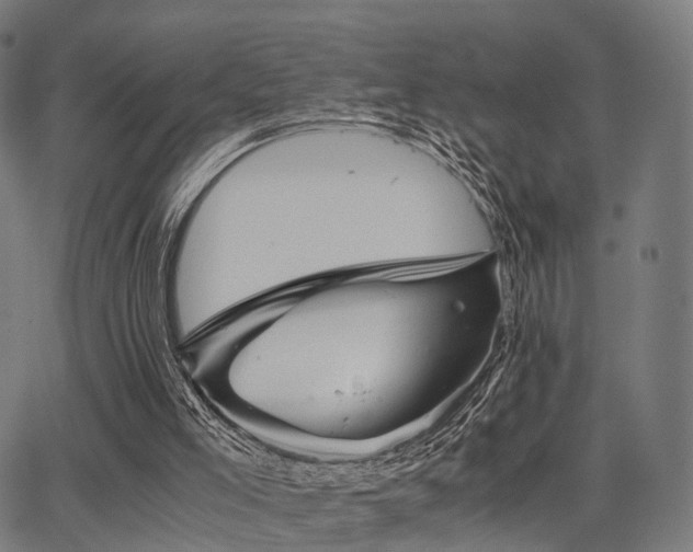 X0000062830005200601131310