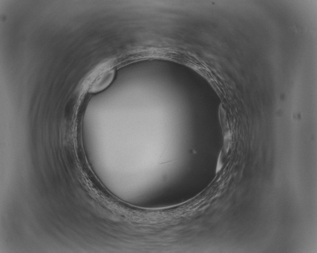 X0000062830006200601131310