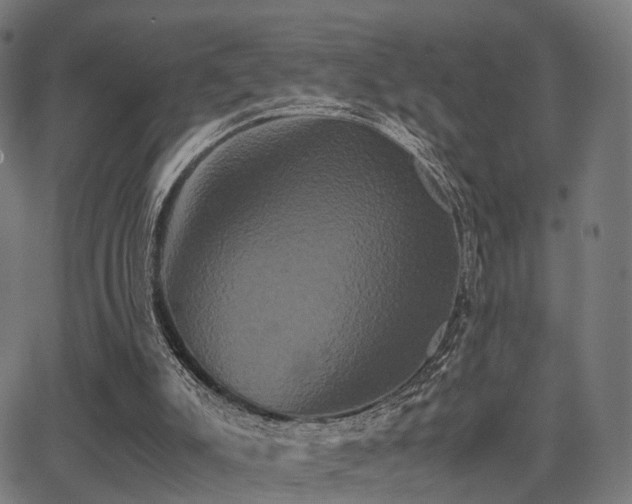 X0000062830007200601131310