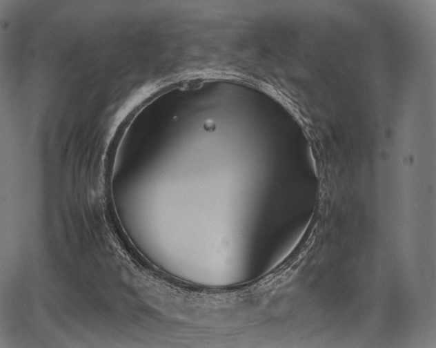 X0000062830008200601131310