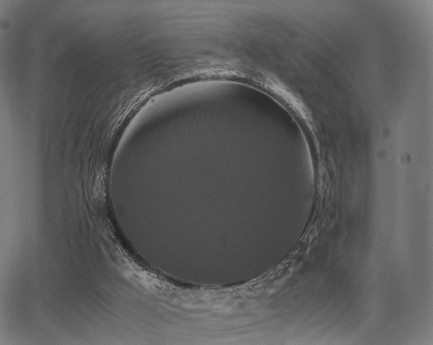 X0000062830009200601131310