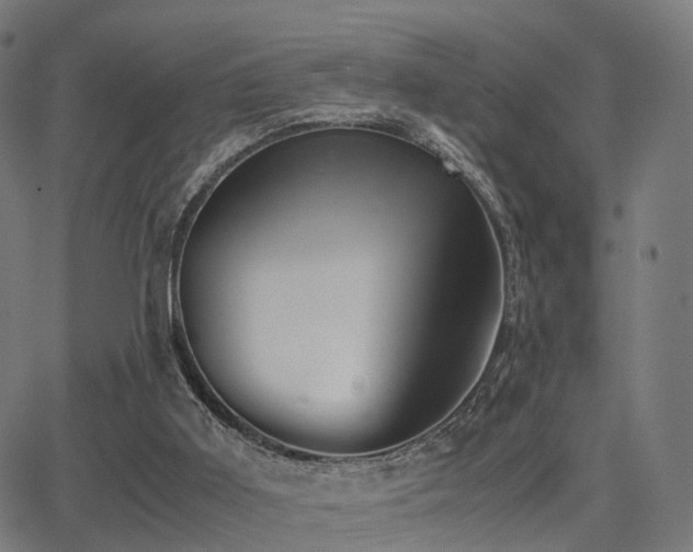 X0000062830011200601131310