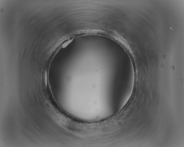 X0000062830013200601131310