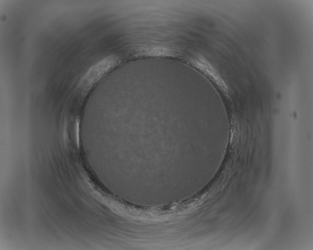 X0000062830014200601131310