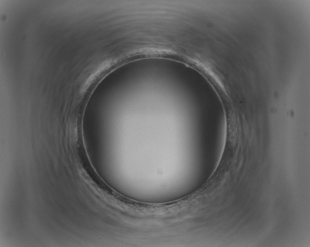 X0000062830015200601131310