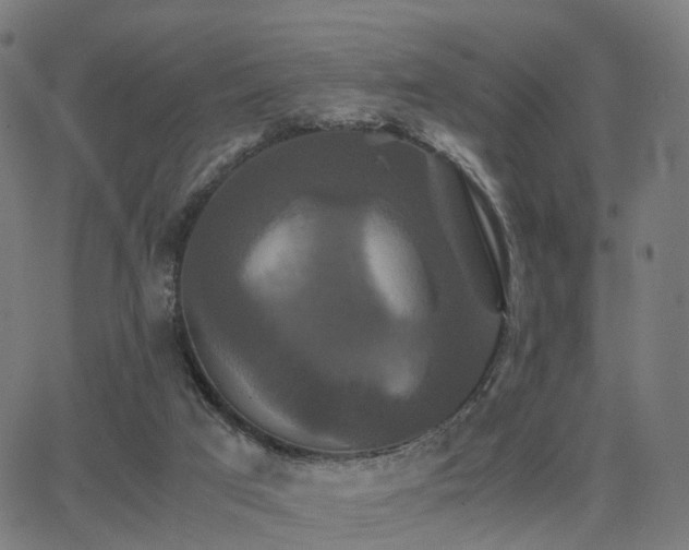 X0000062830017200601131310