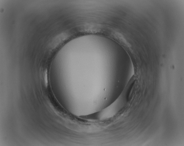 X0000062830020200601131310